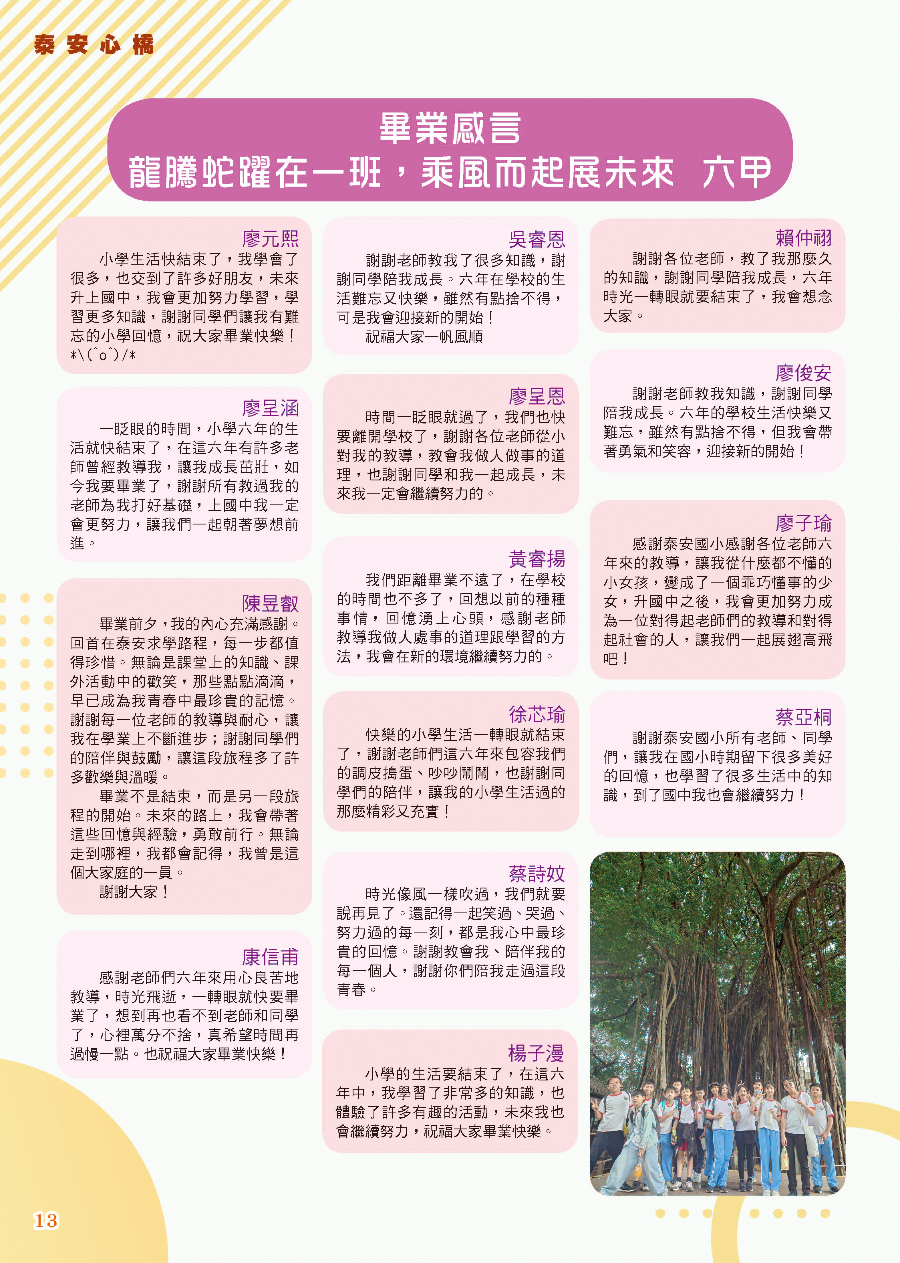 泰安心橋113-2圖片