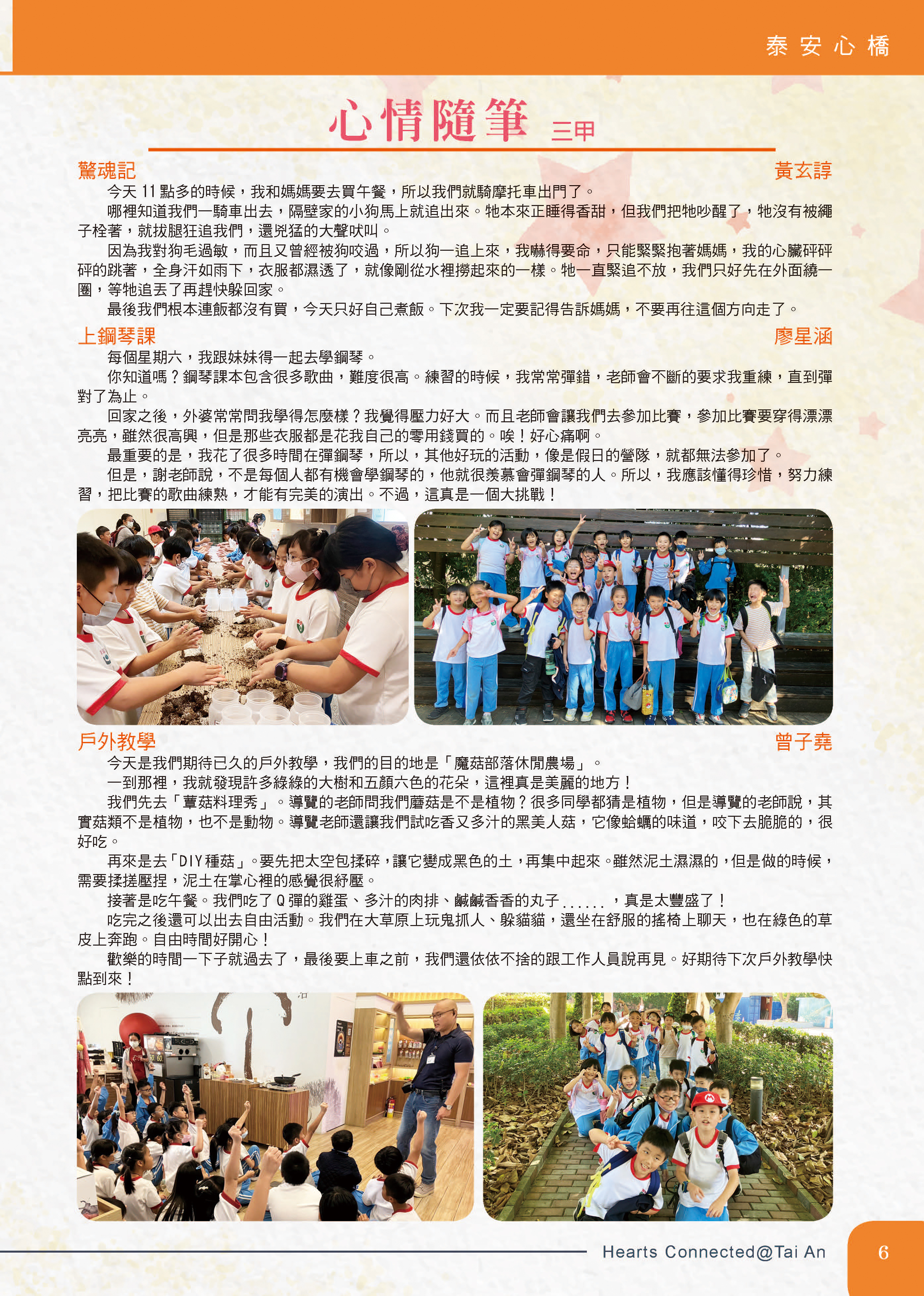 泰安心橋113-1圖片