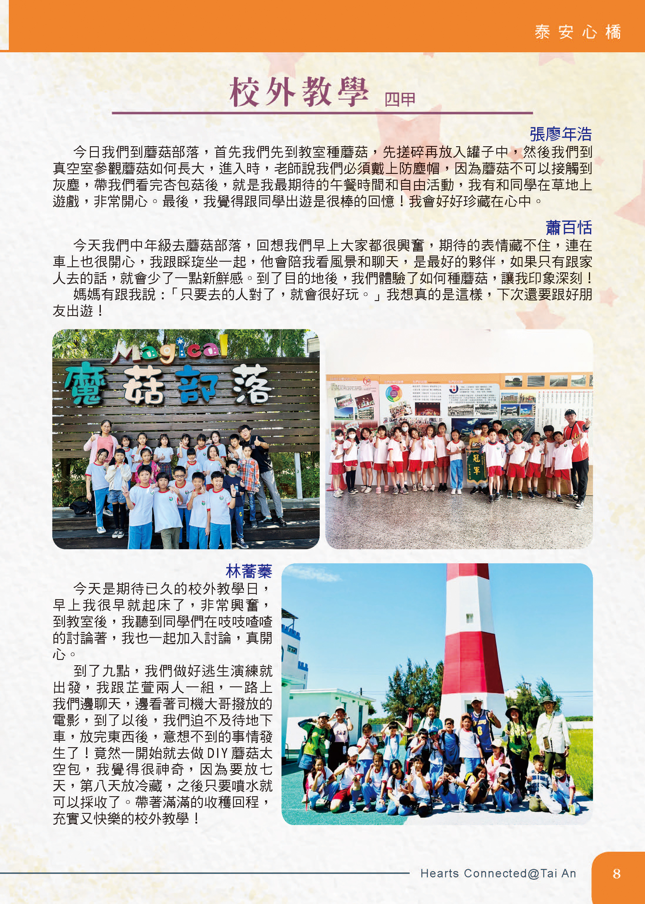 泰安心橋113-1圖片